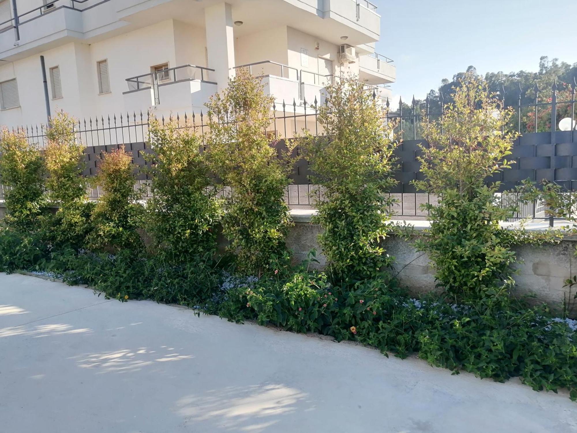 Residence Mare Azzurro Балестрате Екстериор снимка